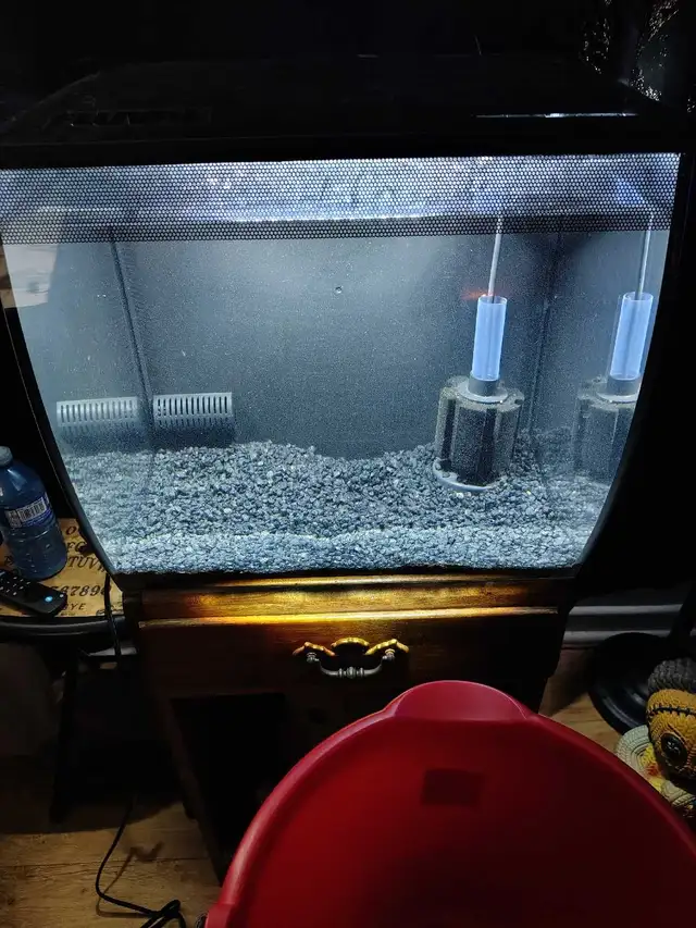 15 Gal  Fluval fishtank