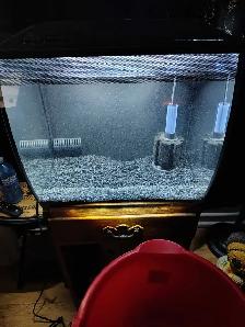 15 Gal  Fluval fishtank