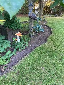 Yard Cleanup / Lawn Maintenance / Weeding / Moving
