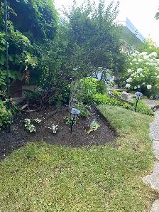 Yard Cleanup / Lawn Maintenance / Weeding / Moving - Photo 2