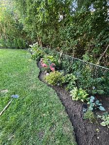Yard Cleanup / Lawn Maintenance / Weeding / Moving - Photo 3