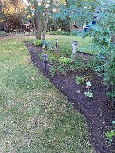 Yard Cleanup / Lawn Maintenance / Weeding / Moving - Photo 5