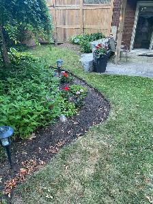 Yard Cleanup / Lawn Maintenance / Weeding / Moving - Photo 6