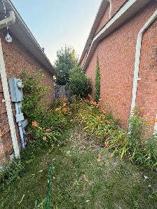 Yard Cleanup / Lawn Maintenance / Weeding / Moving - Photo 10