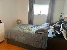 Appartement 3 1/2 a louer (1er septembre) - Photo 3