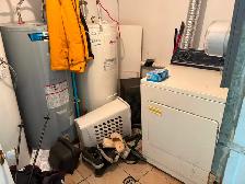 Appartement 3 1/2 a louer (1er septembre) - Photo 6