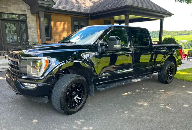Camion Ford F150