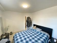 Comfortable 1 Bedroom in Thorold - Photo 7