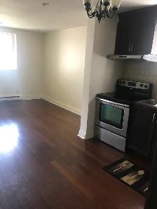 BEAUTIFUL HUGH ONE BEDROOM RENTAL FOR A PROFESSIONAL - Photo 8