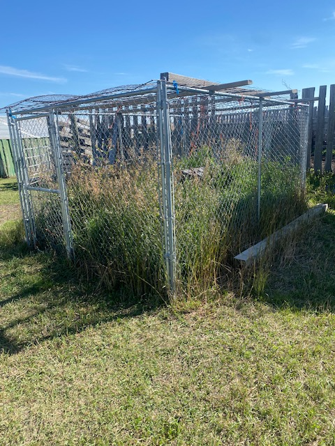 Chain Link fencing
