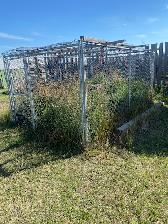 Chain Link fencing