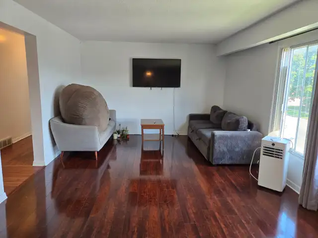 Students & Professionals: Large, Clean Room Near Carleton U.