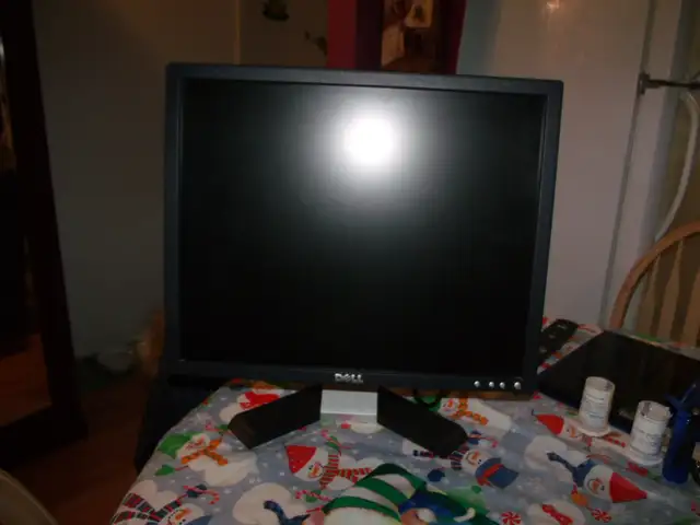 Moniteur Dell