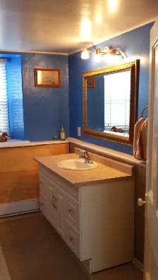 Renovated Heritage Living: Fully Furnished Downtown Apt - Photo 9