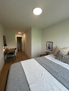 HAVEN Residences - 604 Beaverbrook Ave - Photo 9