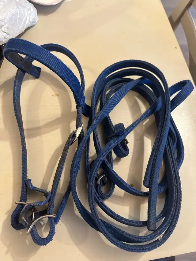 pony bridle