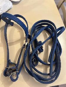 pony bridle