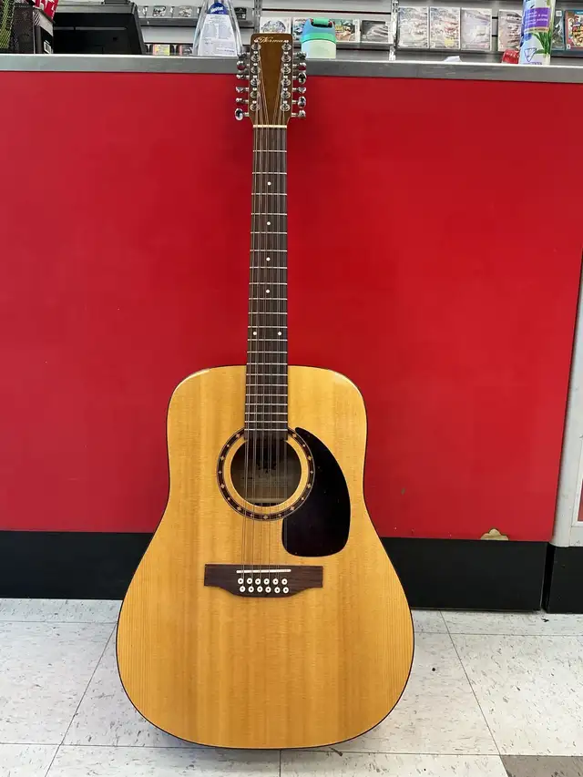guitare Norman