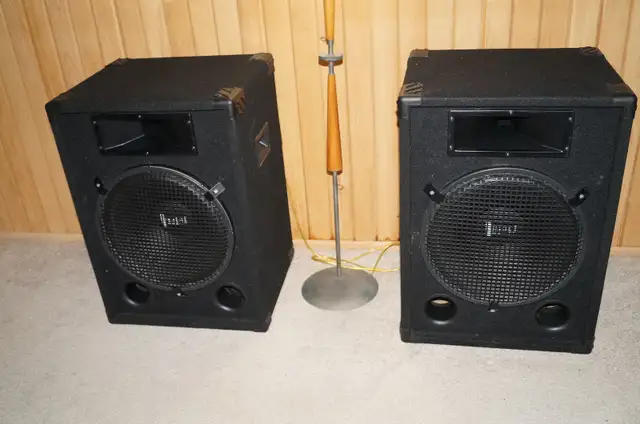 15 INCH D.J. SPEAKERS