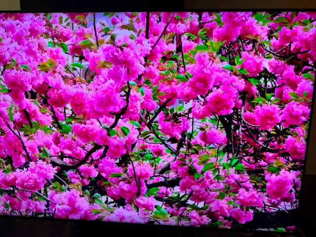 Samsung 49 inches 4K smart tv like new