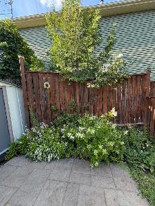 Maison au bord de l’eau à louer - Photo 7