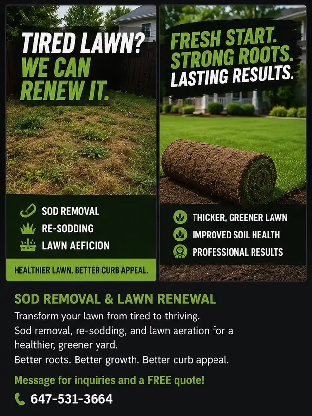 Sod Removal & Lawn Renewal | Re-Sodding & Aeration