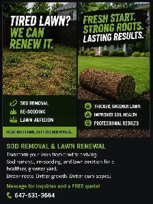Sod Removal & Lawn Renewal | Re-Sodding & Aeration