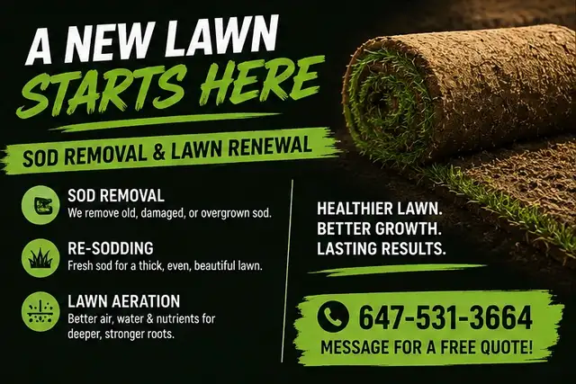 Lawn Renewal | Sod Removal, Re-Sodding & Aeration