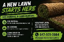 Lawn Renewal | Sod Removal, Re-Sodding & Aeration