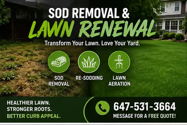 Sod Removal & New Lawn Installation | Free Quote