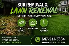 Sod Removal & New Lawn Installation | Free Quote