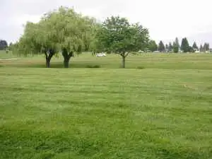 Forest Lawn Cemetery – Single Grave Plots for Sale | Burnaby, BC
