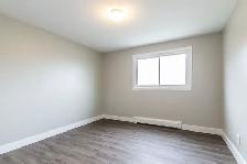2 Bed,  1 Bath in KITCHENER Immediate move-in available - Photo 7