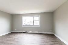 2 Bed,  1 Bath in KITCHENER Immediate move-in available - Photo 10