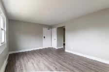 2 Bed,  1 Bath in KITCHENER Immediate move-in available - Photo 11
