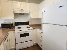 Monarch Place #209 - Photo 4