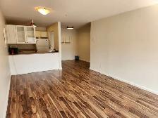 Monarch Place #209 - Photo 7