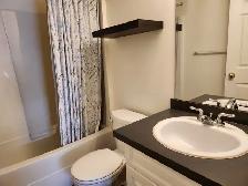 Monarch Place #209 - Photo 12
