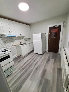 106 Armstrong Street #5: 1 Bedroom Apartment (Westboro, Ottawa) - Photo 6