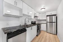 20 Dundegan Dr. #B: 2 Bedroom Apartment (Kanata, Ottawa) - Photo 6