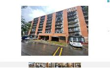 Room for rent in a Pembina Penthouse