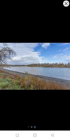 Room for rent in a Pembina Penthouse - Photo 8