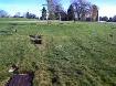Forest Lawn Cemetery – Crypts & Niche Plots | Mausoleum Spaces - Photo 4