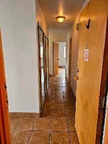 Grand 5 1/2 renové à louer / Large renovated 3-bedroom apartment