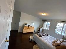 Beautiful Bright Room For Female Occupancy Milton - Photo 4