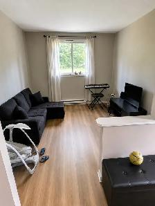 Superbe 3 1/2 entièrement meublé et rénové – Laval-des-Rapides