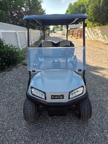 Electric Golf Cart (With Rear Seat) - Photo 2