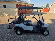 Electric Golf Cart (With Rear Seat) - Photo 3