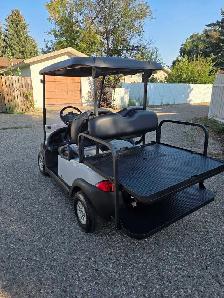 Electric Golf Cart (With Rear Seat) - Photo 5