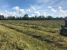 Hay, Naturally grown, no pesticides